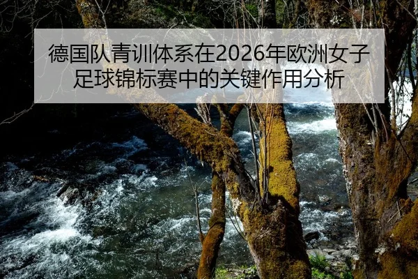 de-guo-dui-qing-xun-ti-xi-zai-nian-ou-zhou-nv-zi-zu-qiu-jin-biao-sai-zhong-de-guan-jian-zuo-yong-fen-xi-2-201.jpg
