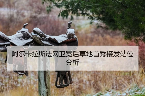 a-er-ka-la-si-fa-wang-wei-mian-hou-cao-di-shou-xiu-jie-fa-zhan-wei-fen-xi-2-650.jpg