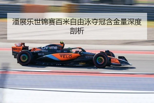 pan-zhan-le-shi-jin-sai-bai-mi-zi-you-yong-duo-guan-han-jin-liang-shen-du-pou-xi-2-668.jpg