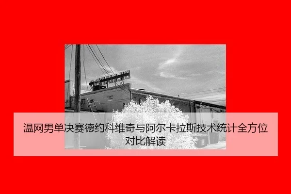 温网男单决赛德约科维奇与阿尔卡拉斯技术统计全方位对比解读