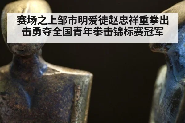 赛场之上邹市明爱徒赵忠祥重拳出击勇夺全国青年拳击锦标赛冠军